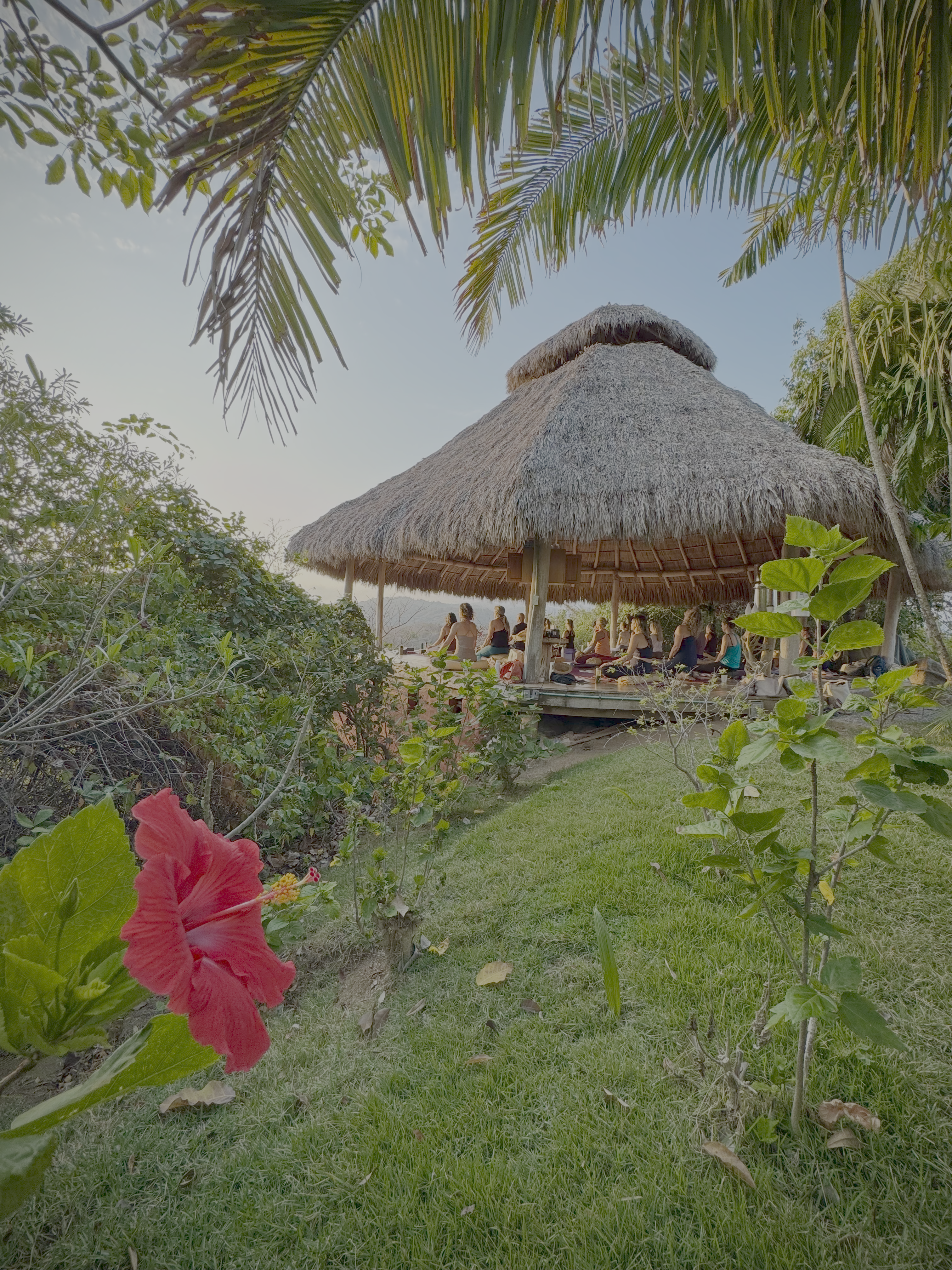 Haramara Retreat 2026 / Sayulita, Mexico
