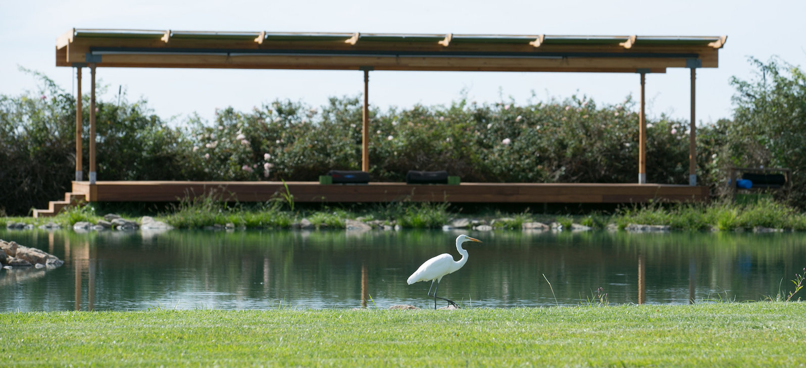 Spring Renewal Retreat Rosemary Garrison Yoga